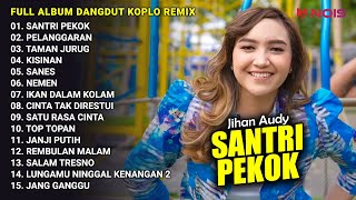 SANTRI PEKOK - PELANGGARAN - TAMAN JURUG | FULL ALBUM DANGDUT KOPLO REMIX JIHAN AUDY 2023