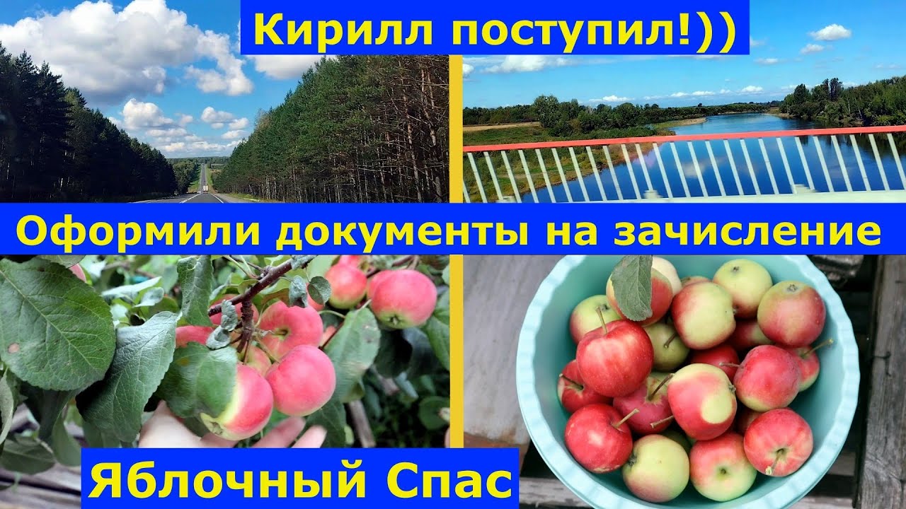 VLOG 19-20.08.2025г. Съездили в Кемерово. Яблочный Спас. #природа #тайга #поездканамашине