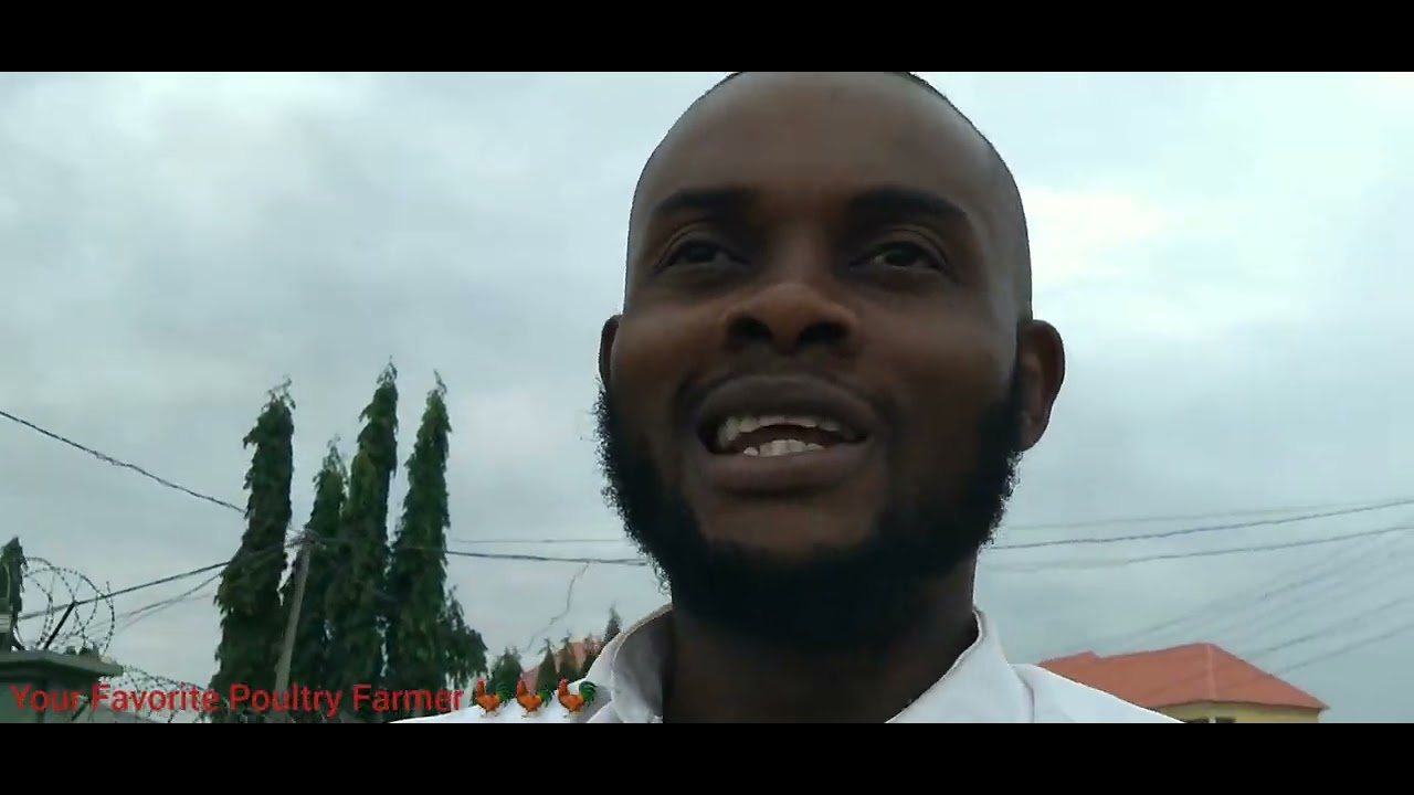 how-to-administer-your-third-vaccine-at-day-22-gumboro-vaccine-youtube