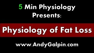 The Physiology of Fat Loss: 5 Min Phys