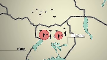 KILLER DISEASES | Sleeping Sickness Around the World