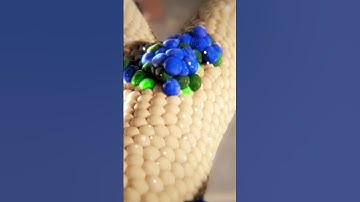 Embryonic Development of the Islets of Langerhans | #science #medical  #scientificanimation