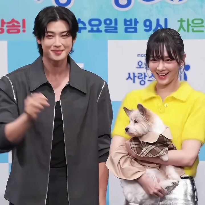 Onde assistir A Good Day to be a Dog? Veja sinopse e elenco do K-drama