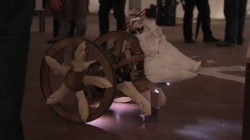 MFRU_KIBLIX 2015_Exhibition