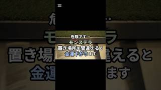 モンステラの置き場所、間違えると金運かなり下がります…#モンステラ #観葉植物 #金運 #金運アップ #風水 #玄関風水 #開運 #運気アップ #スピリチュアル #運気改善 #開運習慣 #Shorts