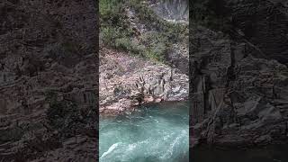 Девичьи плесы. Изумрудные  воды Алтая