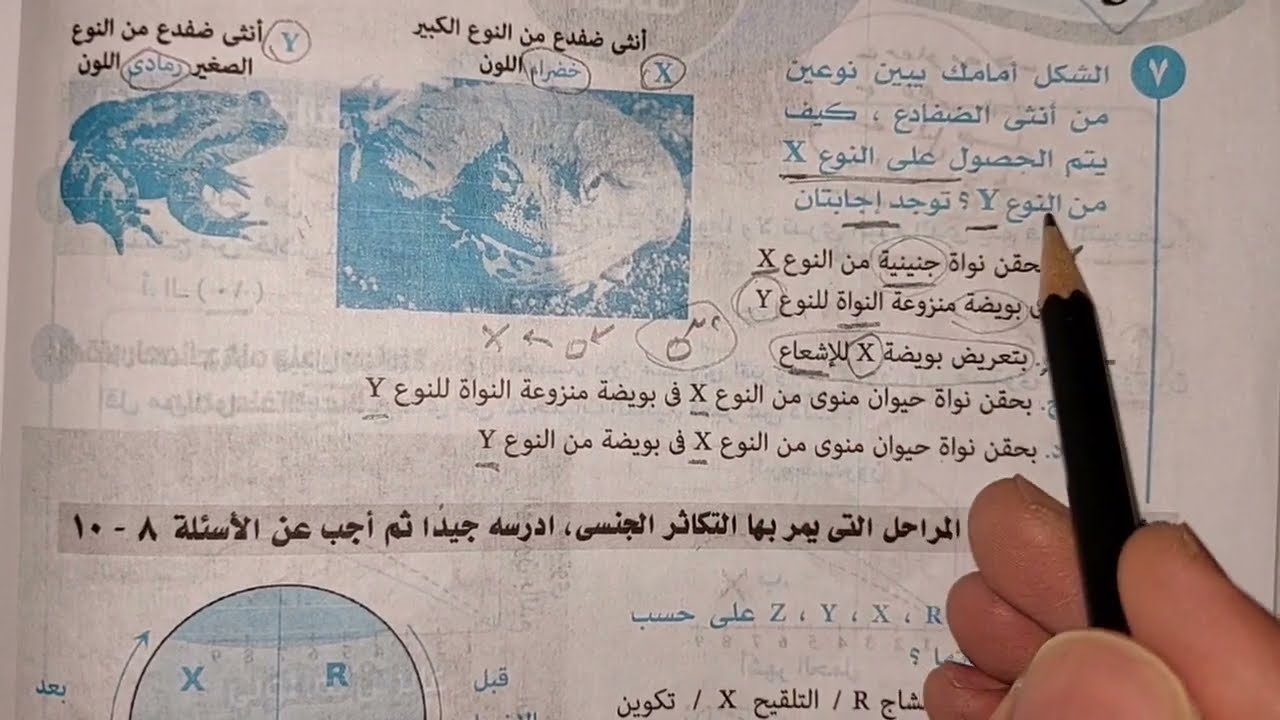 حل وتصحيح اخطاء كتاب النفيس مراجعه نهائيه احياء بالتفسير - الاختبار الثالث تكاثر - ثانويه عامه 2022