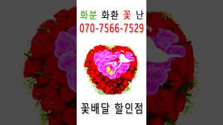 ■ 꽃배달 할인점! ■ / 070ㅡ7566ㅡ7529 / 화분 화환 꽃다발 란초 분재 꽃바구니 과일바구니 꽃주문 추천 당일꽃배달批꽃집&amp;저렴한꽃가게/개업화분婚결혼식識장례식 화원 서비스