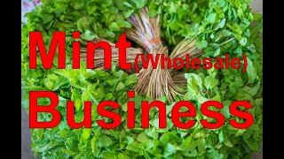 Poodina (Mint) ka Business in vegetables Mandi
