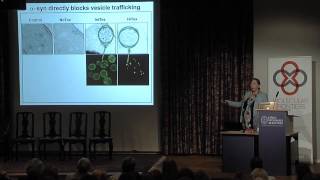 Susan Lindquist: From yeast cells to patient neurons