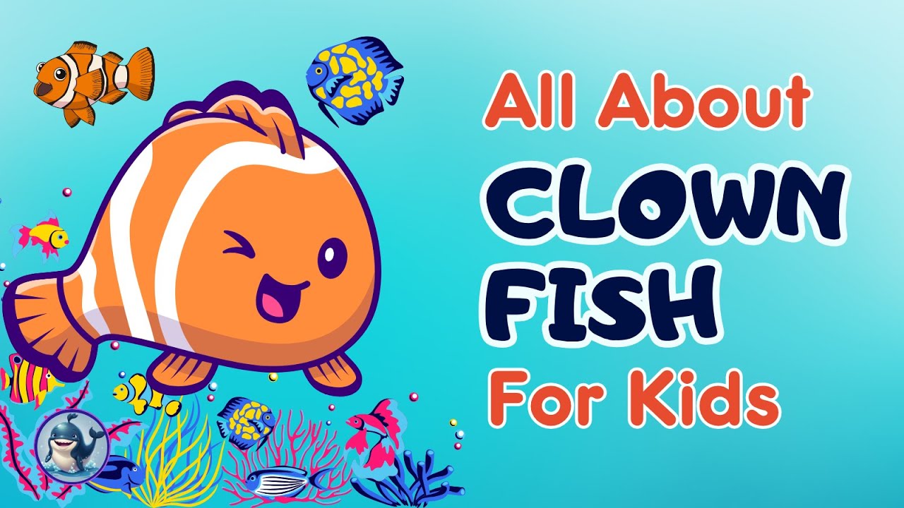 Clown Fish Facts For Kids Clown Fish Facts For Kids