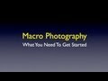 What You Need To Get Started In Macro Photography