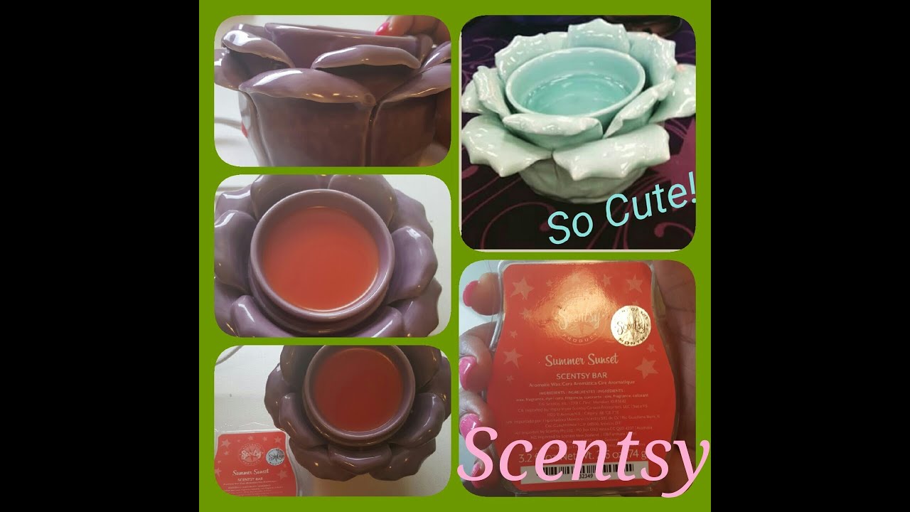 Scentsy Petal Purple Element Warmer YouTube