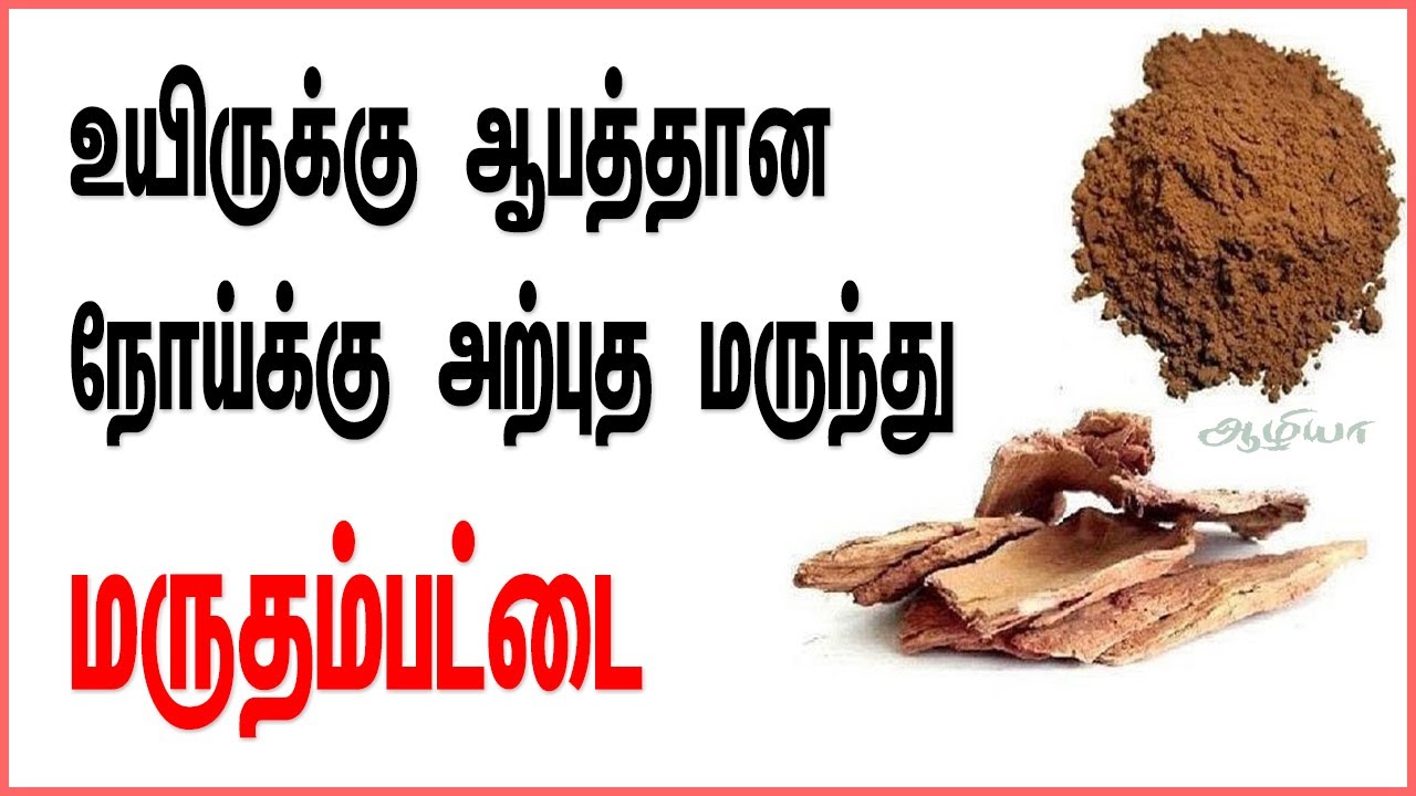 Marutham Pattai மருதம்பட்டை Herbal Medicine in Tamil Tamil Health