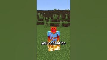 Fire Protection is Better in Minecraft Bedrock Edition