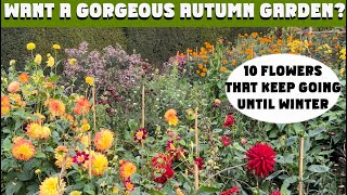 видео: 10 цветущих растений, которые будут цвести до первых заморозков, а иногда и дольше! картинка: 10 цветущих растений, которые будут цвести до первых заморозков, а иногда и дольше!