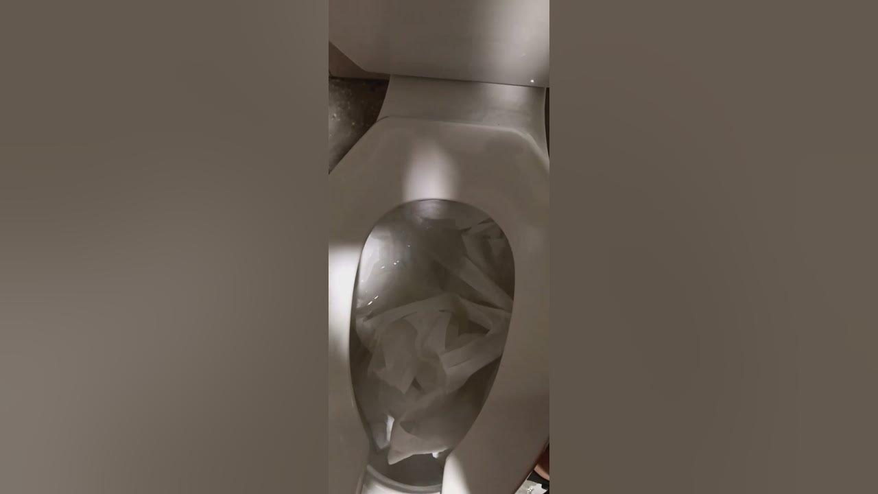 Kohler highline pressure assist toilet vs tp wad YouTube