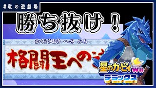 #5【星のカービィWiiデラックス】extraモードと格闘王に挑む【竜の遊技場】