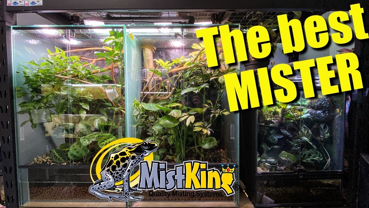 How to setup a MISTKING + program timer!!! YouTube