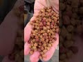 Looking forward to a day in the sun catching big fish on the Method? ☀️ #sonubaits #methodfeeder