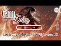 [Vietsub - Pinyin - Âm Bồi] Cảm (Dám) - Hoàng Linh | 敢 - 黄龄