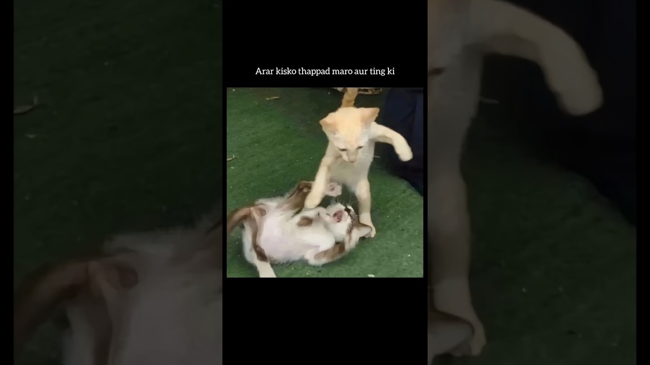 some lame jokes with me😉 