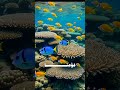 رب اغفر لي ولوالدي Quranrecitation رب اغفر لي ولوالدي Quranrecitation