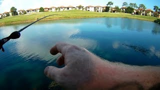 JUNE LUCKY TACKLE BOX FISHING WITH KASTKING GEAR