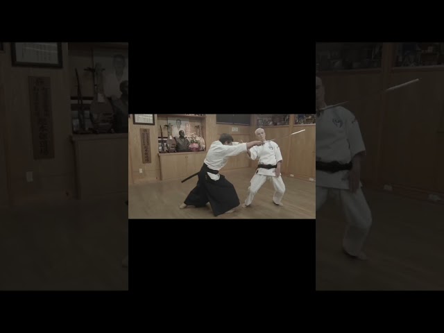 Karate Vs the Samurai Sword #martialarts #karate