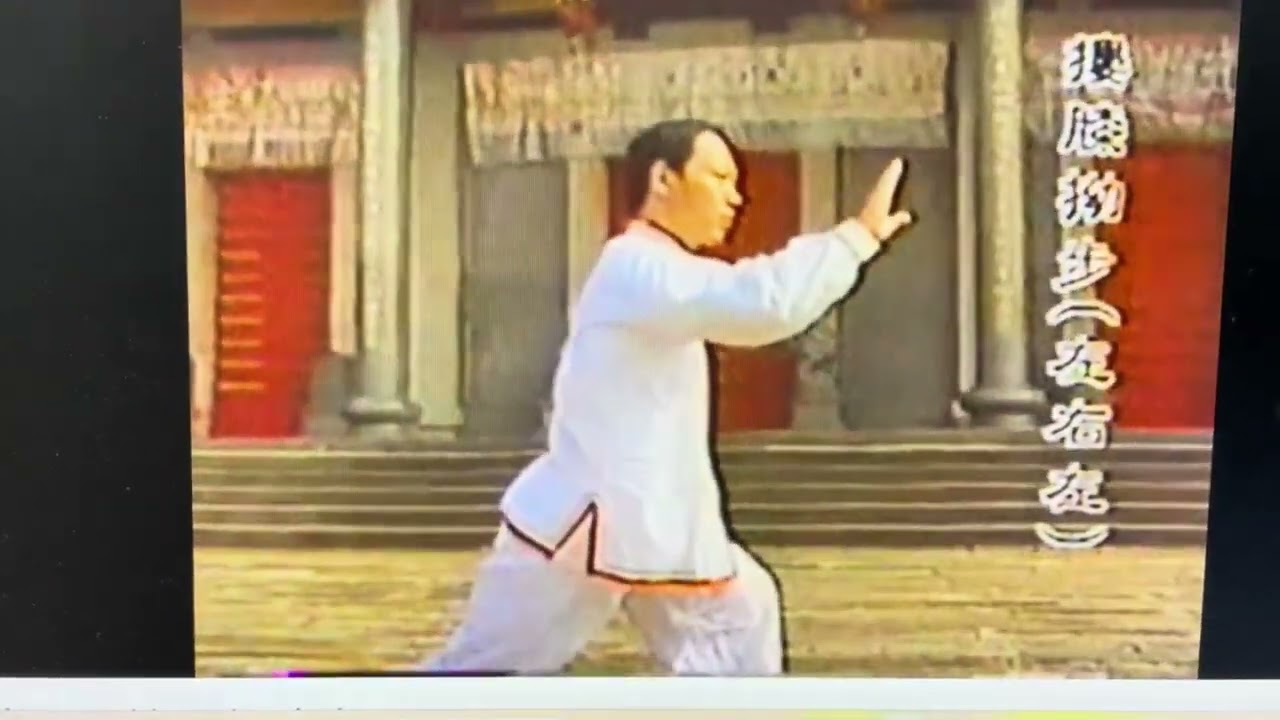 太極拳第一段連續動作(3分14秒)姜長根學生