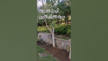 قران كريم 🤲🌹بصوت جميل للشيخ اسلام صبحي#المصحف #اكسبلور#راحة_نفسية#اكسبلور#اسلام_صبحي#المصحف