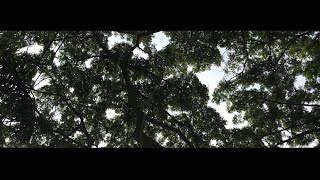 STORY WA ( WhatsApp ) 30 DETIK || LELAHNYA BEKERJA