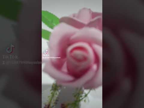 قلب عالم اليوتيوب