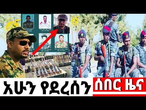 ቪዲዮ: የሚሳለቁ በረሮዎች ጥሩ የቤት እንስሳት ናቸው?