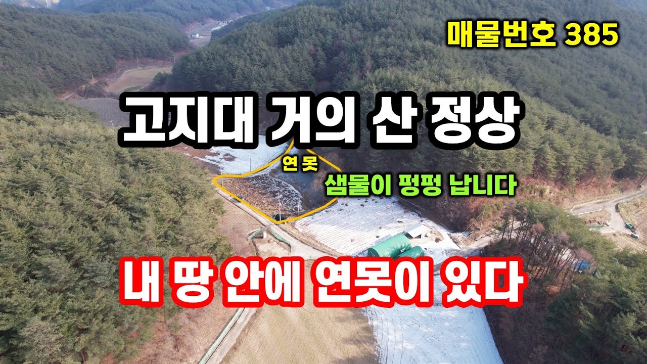 경북땅 산속땅, 산 정상인데 땅에서 샘물이 철철~ farming 농막 체류형쉼터 급매물 시골땅 봉화땅 추천매물