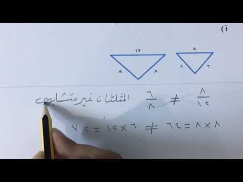 تشابه المضلعات رياضيات ثاني متوسط الفصل الأول