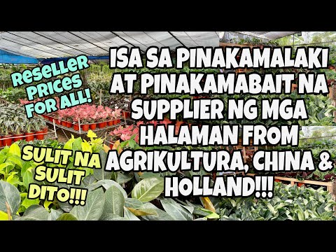 Video: Aling pamamaraan ng agrikultura ang pumipigil sa pagguho?