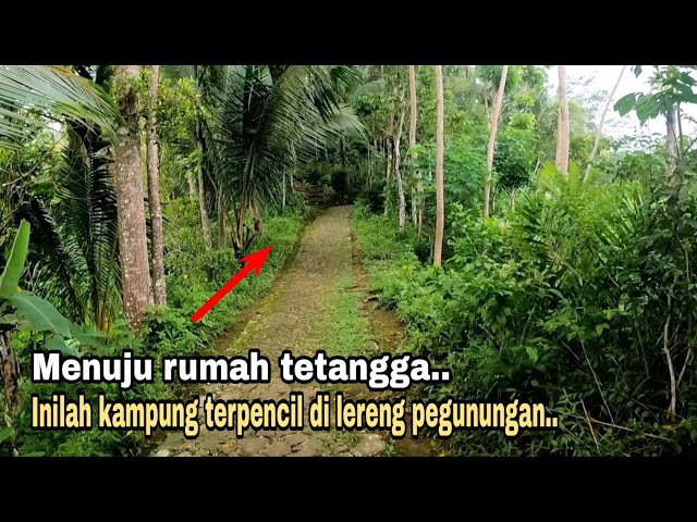 Rumahnya berjauhan ga bisa di lalui mobil. Pangkah, kampung terpencil di lereng pegunungan. #part 1 class=