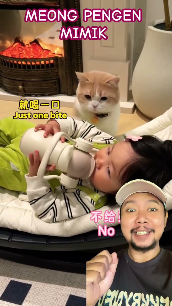 MEONG PENGEN MIMIK SUSU!!!??#shortsfeed #funny #shorts #shortsviral