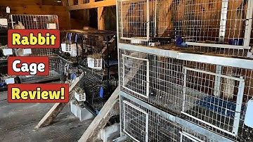 Review of My Meat Rabbit Cages: DuMor and Pet Lodge
