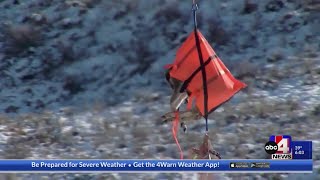 Why deer are flying in Cache County