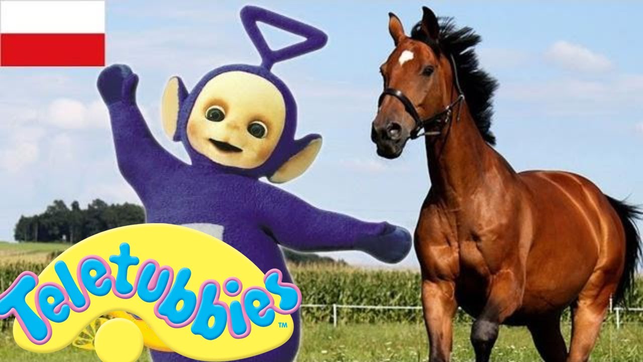 Teletubisie Po Polsku - 73 DOBRA JAKOŚĆ (Pełny odcinek)