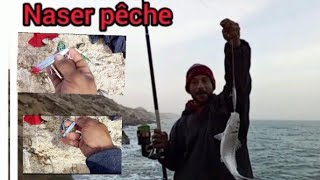 #fishing #morocco أجي تشوف# les leurres et flache mer  تقاوص و فراجة 😍جنوب الصحراء المغربية