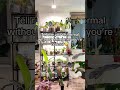 Calling all my planty people! 😃🌱#plants #plantlover #plant #plantcare #tellmewithouttellingme