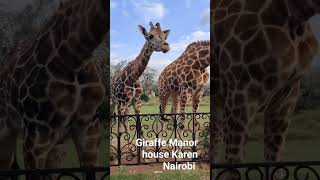 Giraffe Manor house Karen Nairobi city Kenya