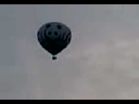 WNF Luchtballon wereld natuur fonds wwf