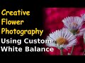 Creative Flower Photography Using Custom White Balance ep.165