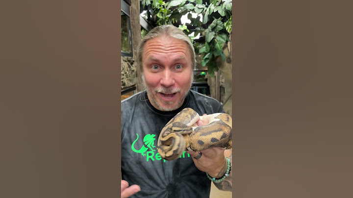 This is How it Feels to Get Bitten by a Snake! #shorts