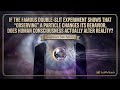 The Quantum Observer Myth || Physics || EN || generated by LetMeTeach