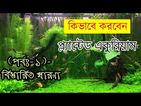 ভিডিও: কিভাবে একটি চিত্র রক্ষণাবেক্ষণ